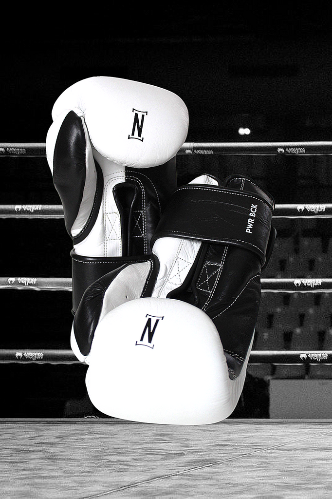 NOBLAR GLOVES - POWER BACK